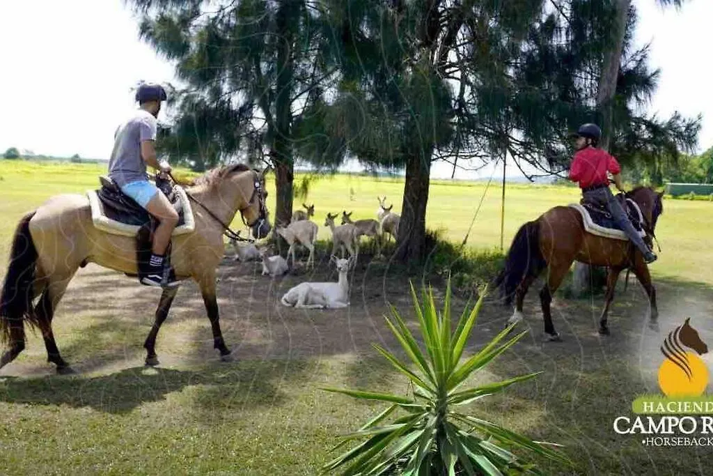 Amazing Location, Close To Everything, 7 Minutes Airport And Isla Verde Beach Carolina 0*,  Portoryko