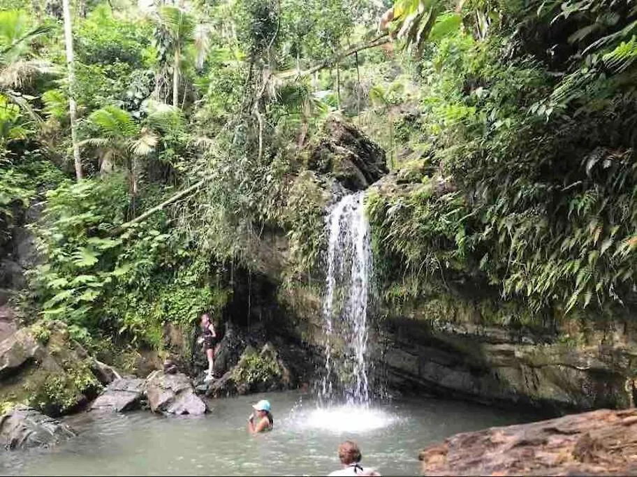 아파트 Amazing Location, Close To Everything, 7 Minutes Airport And Isla Verde Beach 캐롤라이나 푸에르토리코