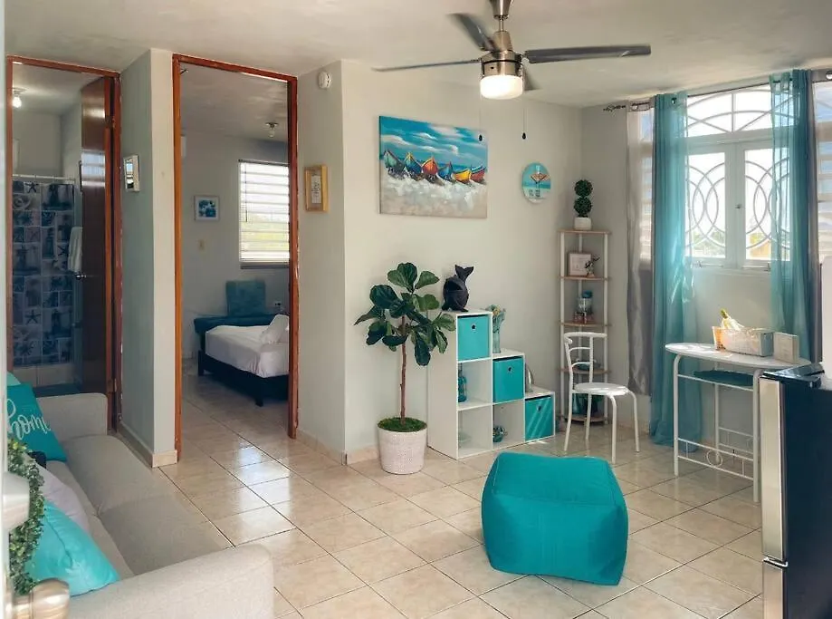 Amazing Location, Close To Everything, 7 Minutes Airport And Isla Verde Beach كارولينا